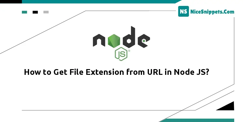 How to Get File Extension from URL in Node JS?