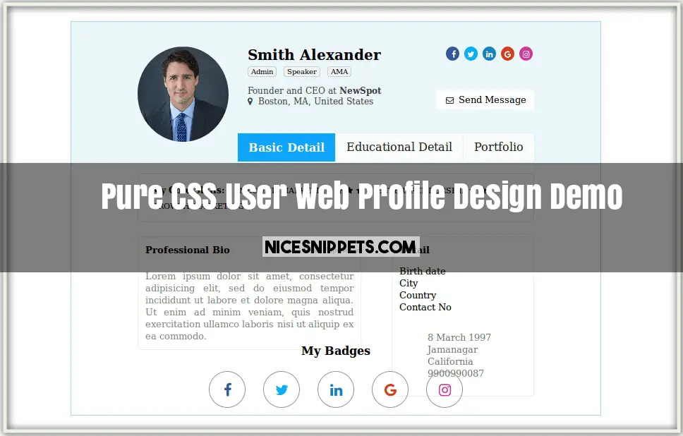 Pure Css User Web Profile Design