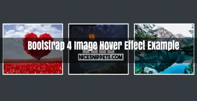 Bootstrap 4 Image Hover Effect With Social Icon