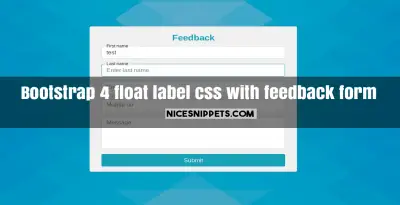 Bootstrap 4 float label css example with feedback form