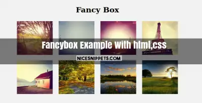 Fancybox Example With html,css