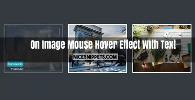 Bootstrap 4 Image Hover Effect Example and Demo