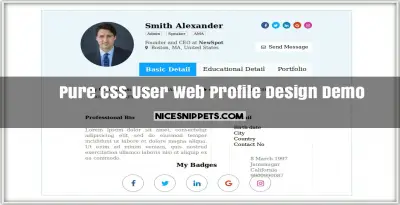 Pure CSS User Web Profile Design